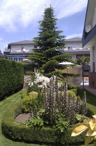 foto013 (1)
