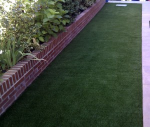 foto2 (1)