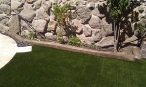 foto4 (1)