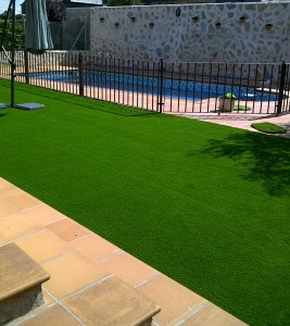 foto5 (1)