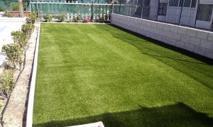 foto7
